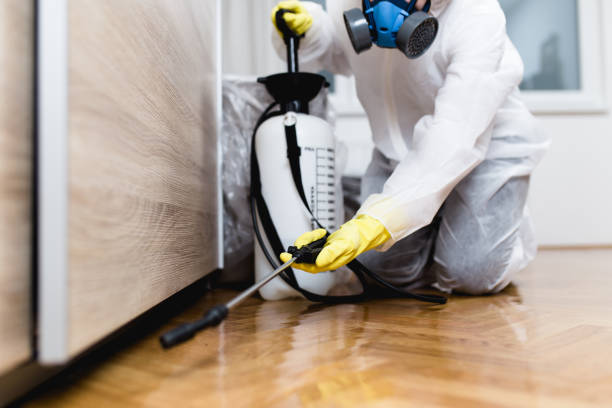 Best Affordable Pest Control Services  in Tuckahoe, NY