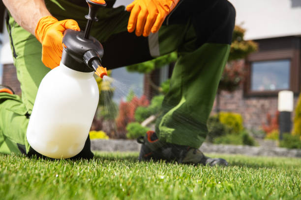Professional Pest Control in Tuckahoe, NY