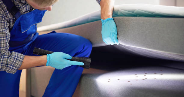 Best Mosquito Control Services  in Tuckahoe, NY