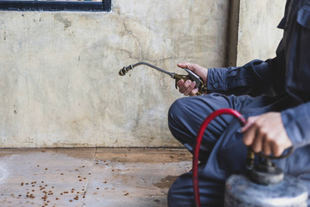 Best Affordable Pest Control Services  in Tuckahoe, NY