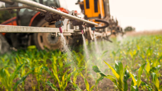 Best Wildlife Control Services  in Tuckahoe, NY